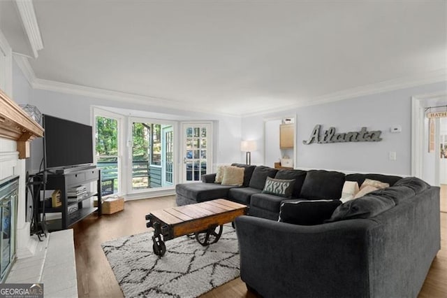 living room featuring a fireplace, light wood-type flooring, and crown molding