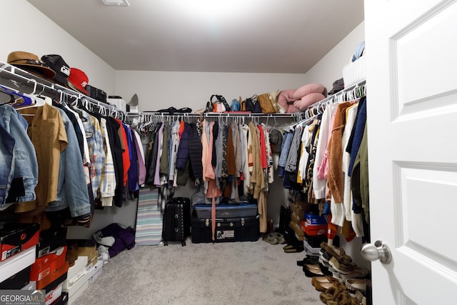 spacious closet featuring carpet flooring