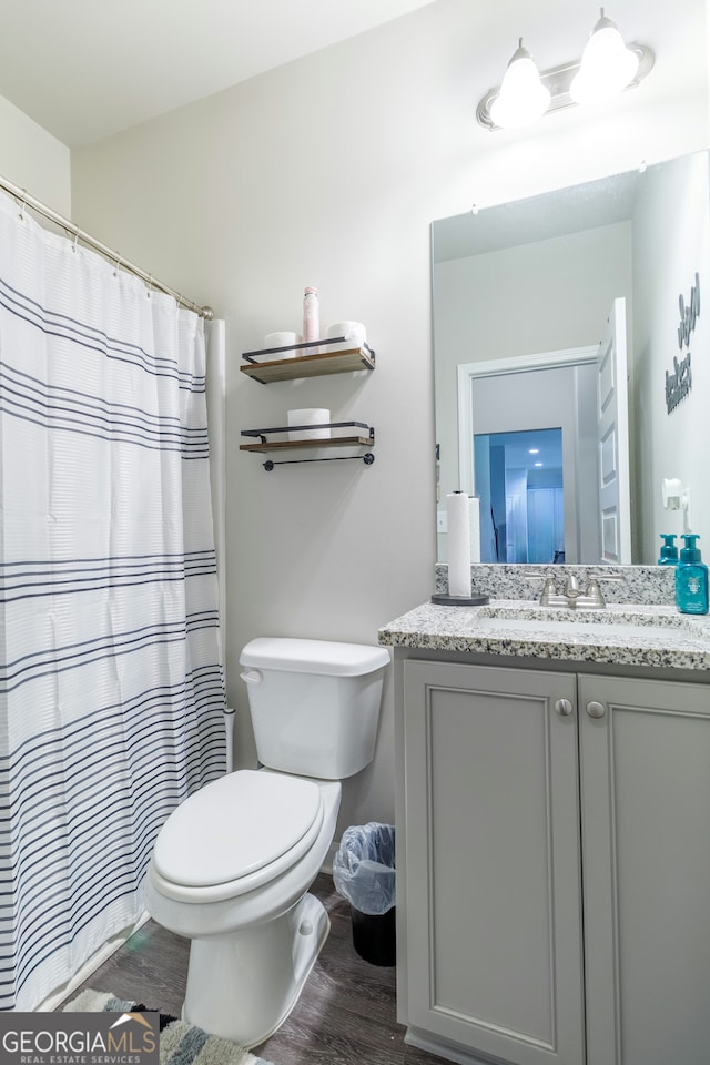 bathroom featuring toilet, vanity, and wood-type flooring