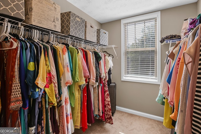 spacious closet with carpet floors