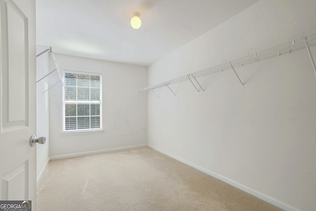 walk in closet featuring light colored carpet