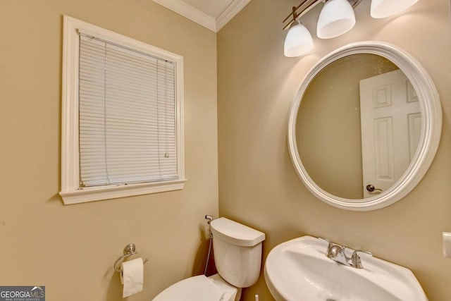 bathroom featuring toilet, crown molding, and sink