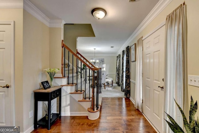 foyer with crown molding, a notable chandelier, and dark hardwood / wood-style flooring