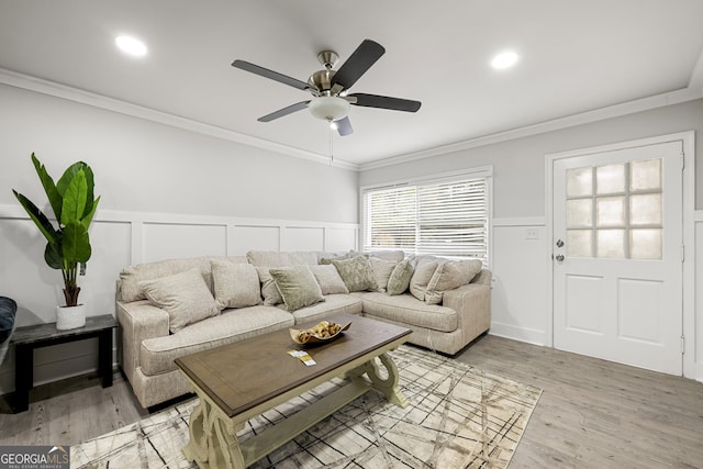 living room featuring ceiling fan, light wood-type flooring, and crown molding