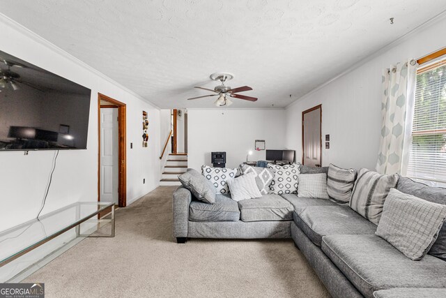 carpeted living room with ceiling fan, crown molding, and a textured ceiling