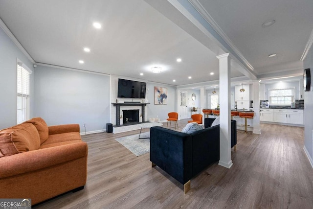 living room with crown molding, light hardwood / wood-style floors, and plenty of natural light