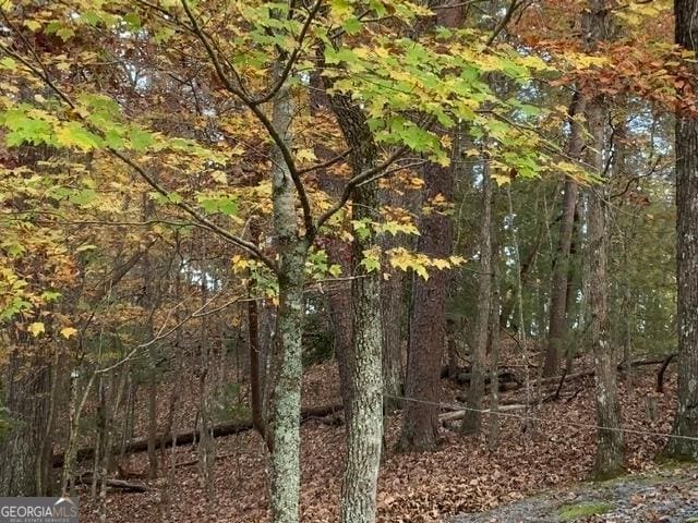 289 Cypress Cir, Ellijay, GA 30540 - view of local wilderness featuring a view of trees