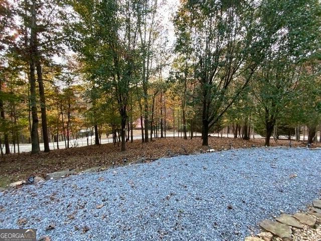 289 Cypress Cir, Ellijay, GA 30540 - view of yard