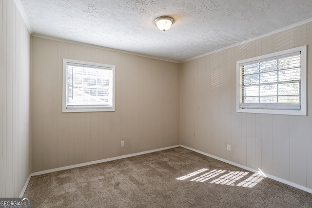 carpeted spare room featuring a textured ceiling