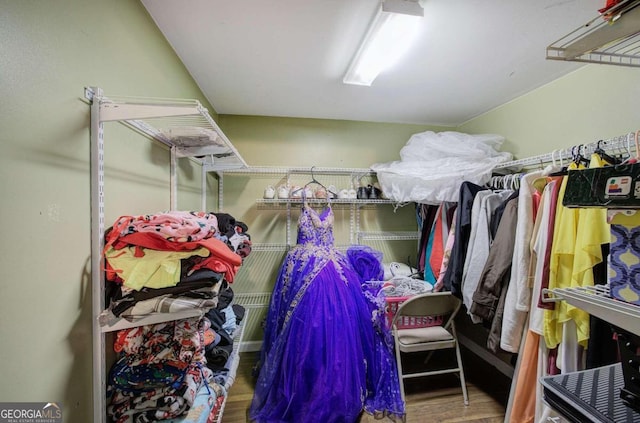 walk in closet featuring hardwood / wood-style floors