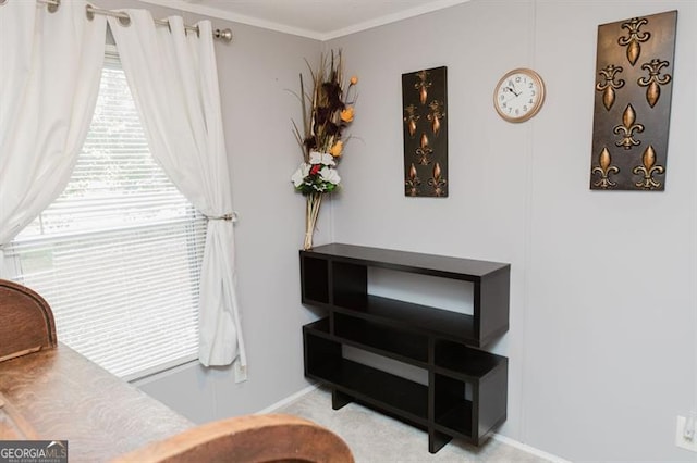 sitting room featuring crown molding and light colored carpet