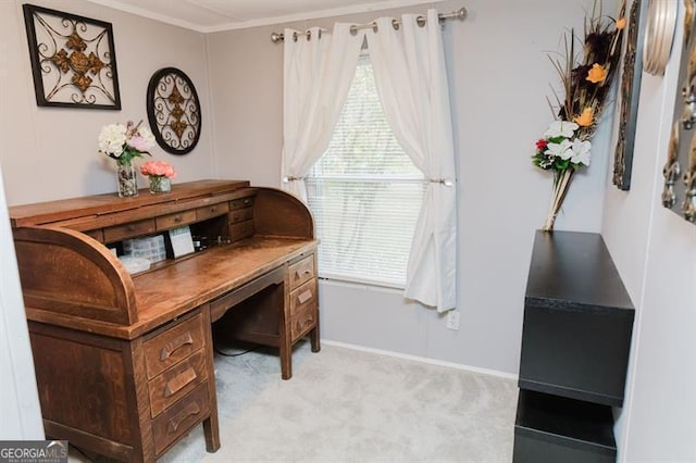 office featuring ornamental molding and light colored carpet