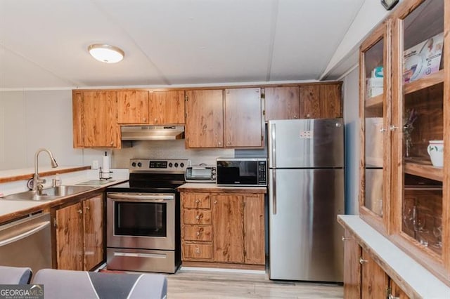 kitchen featuring sink, appliances with stainless steel finishes, and light hardwood / wood-style flooring