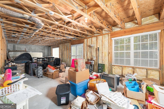 basement with plenty of natural light