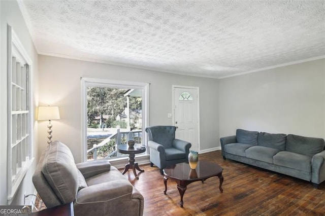 living room featuring crown molding, a textured ceiling, and dark hardwood / wood-style floors