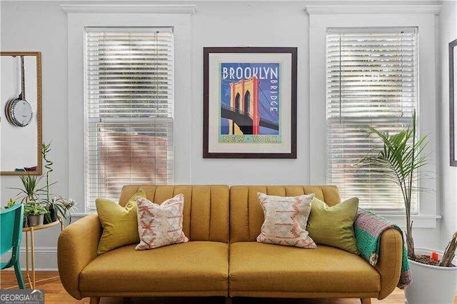 living room with hardwood / wood-style floors