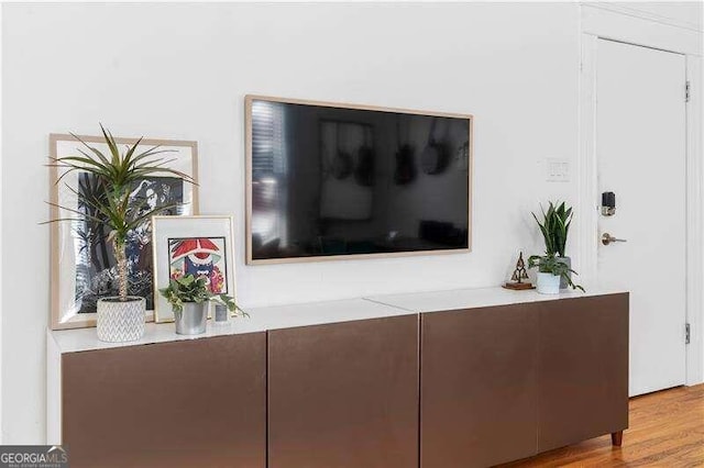 room details with hardwood / wood-style flooring