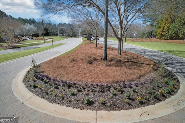 view of property's community featuring a yard