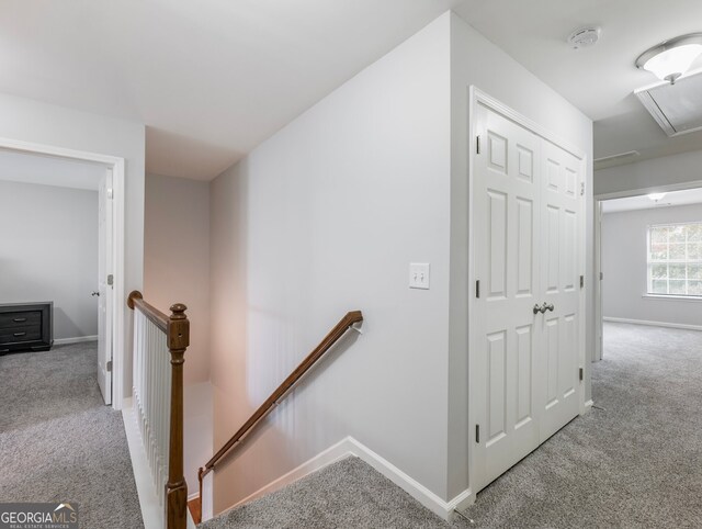 stairway with carpet floors