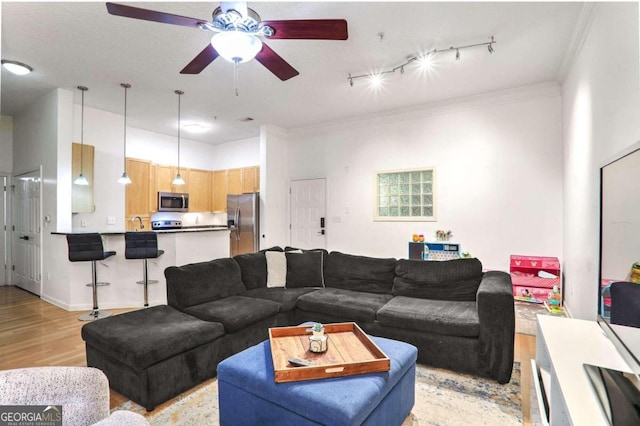 living area featuring light wood-type flooring, ceiling fan, rail lighting, and ornamental molding