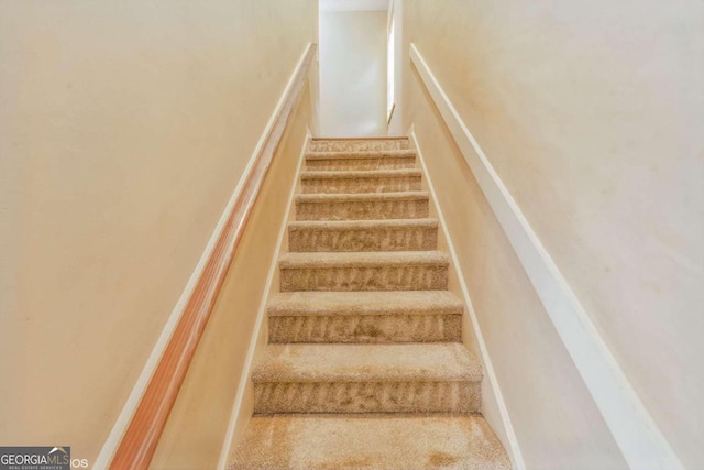 stairway featuring carpet flooring