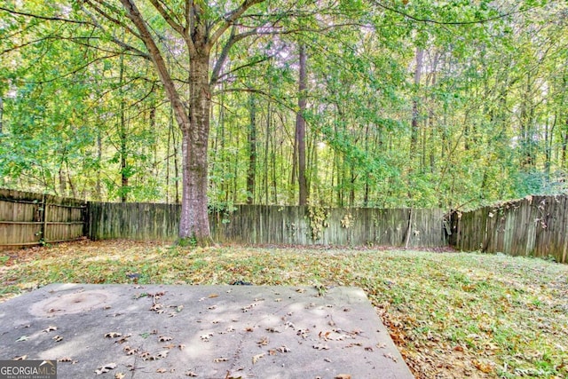 view of yard with a patio area