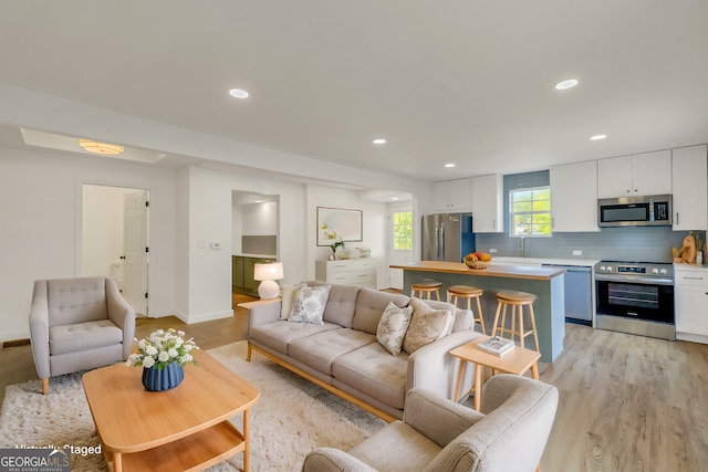 living room featuring light hardwood / wood-style flooring