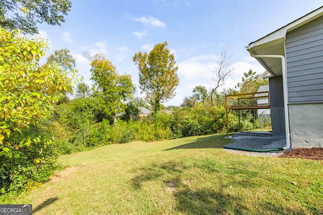 view of yard featuring a patio