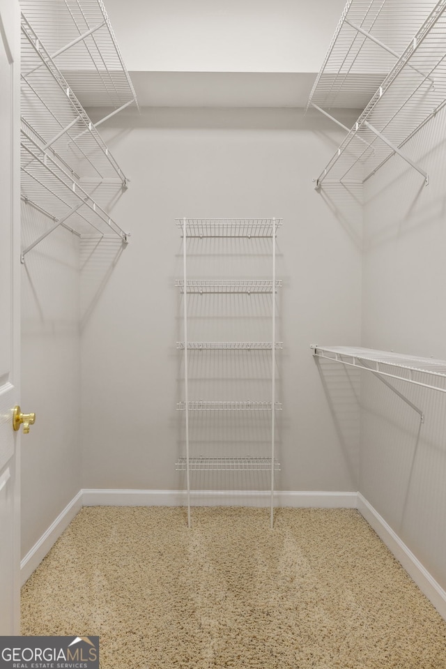 view of spacious closet