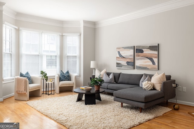 living room featuring a wealth of natural light, hardwood / wood-style floors, and crown molding