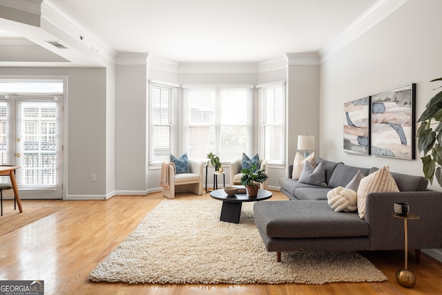 living room with crown molding and hardwood / wood-style floors