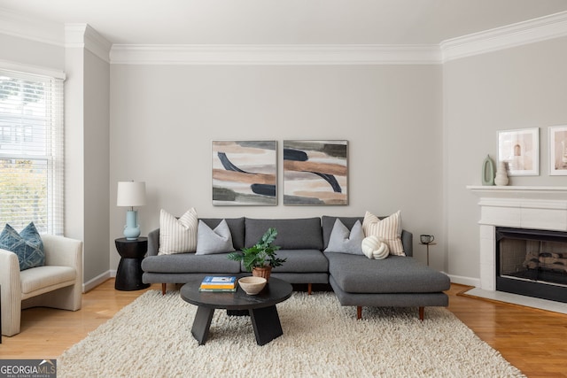 living room featuring crown molding, hardwood / wood-style flooring, and a fireplace