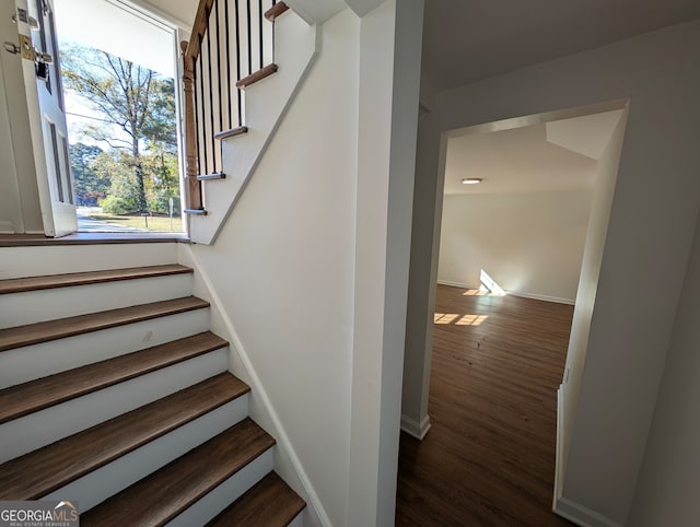 staircase with wood-type flooring