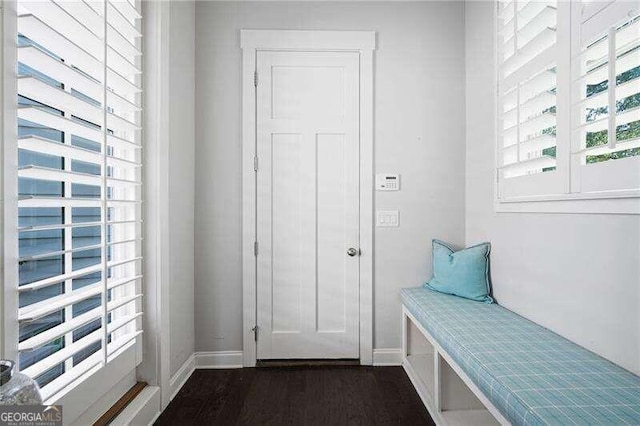 mudroom with dark wood-type flooring