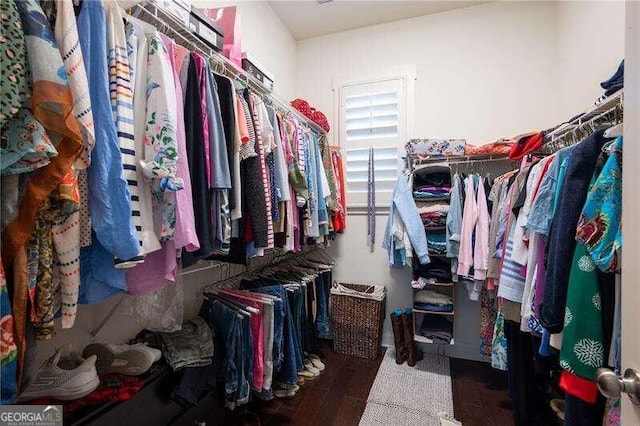 spacious closet with dark hardwood / wood-style flooring