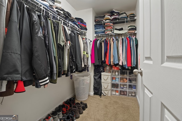 walk in closet featuring carpet