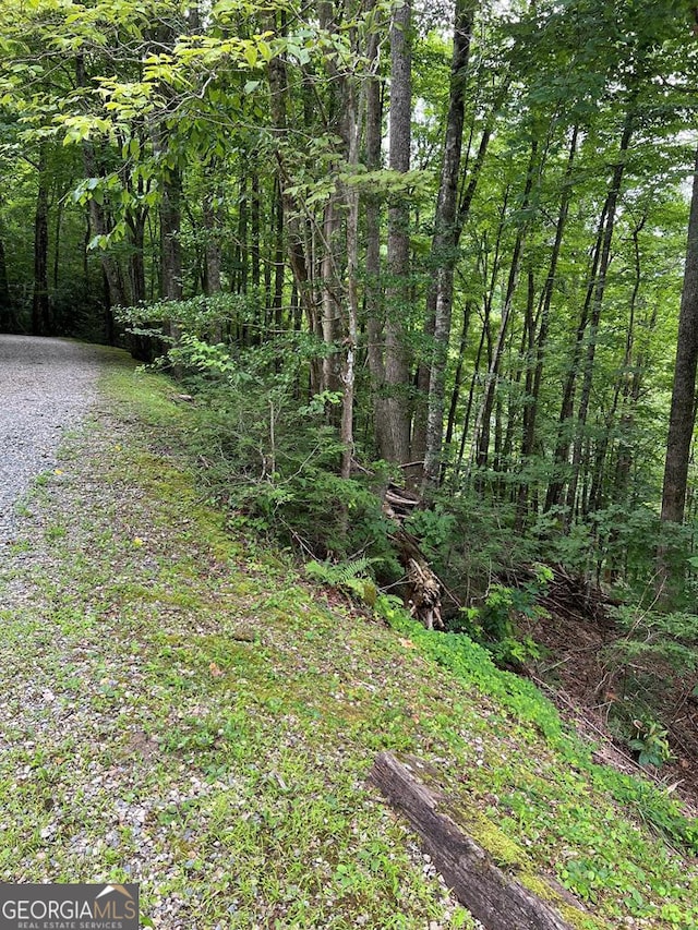 LOT3SEC3 Rhododendron Dr, Topton NC, 28781 land for sale