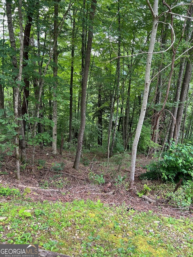 Listing photo 2 for LOT3SEC3 Rhododendron Dr, Topton NC 28781