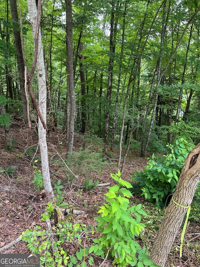 Listing photo 3 for LOT3SEC3 Rhododendron Dr, Topton NC 28781