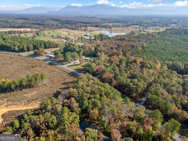 aerial view featuring a water and mountain view