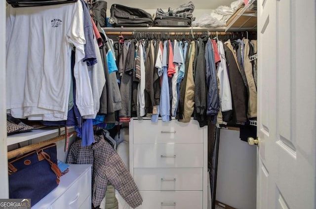 view of spacious closet