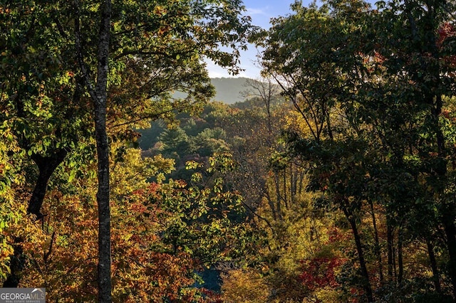 view of landscape