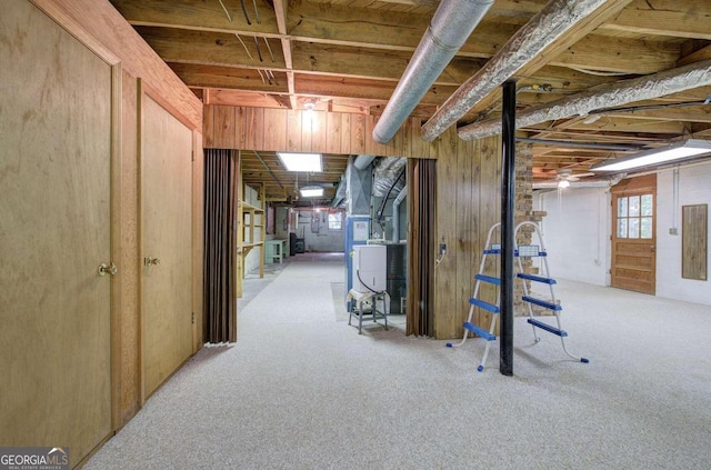 basement featuring carpet