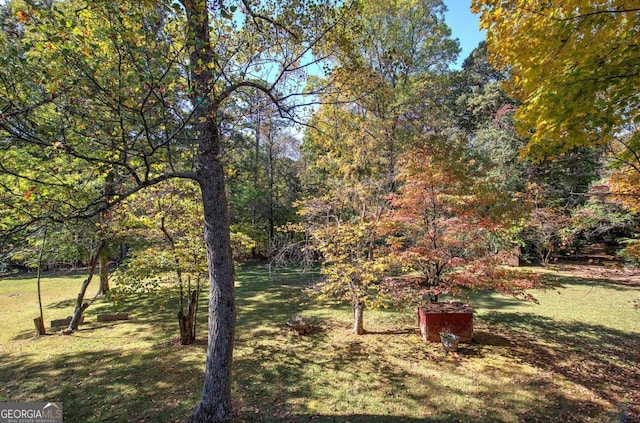 view of yard with a wooded view