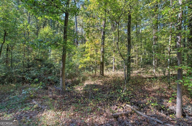 view of nature with a forest view