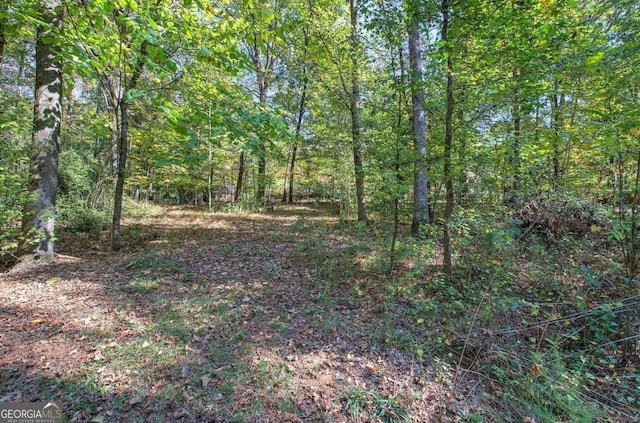 view of local wilderness with a forest view