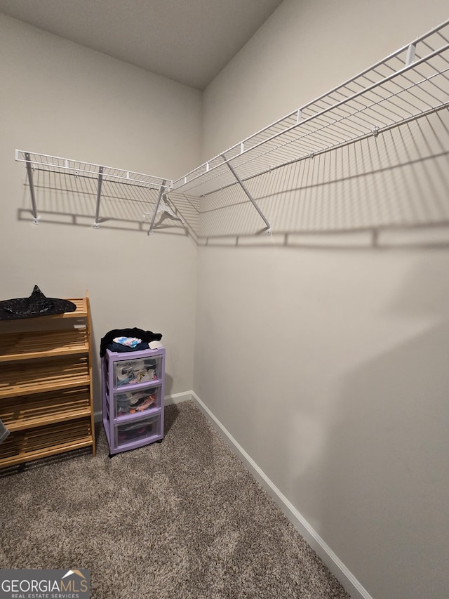 walk in closet with carpet