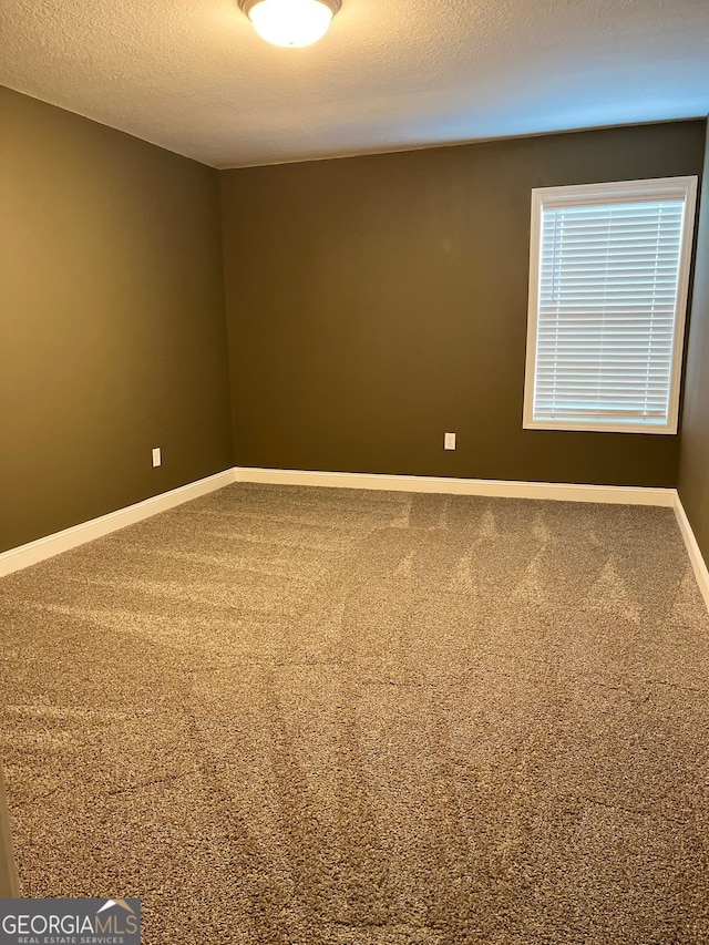 empty room featuring carpet flooring and a textured ceiling