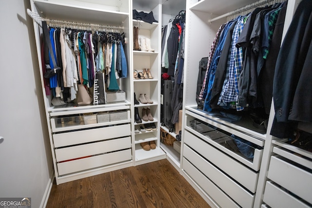 walk in closet featuring dark wood-type flooring