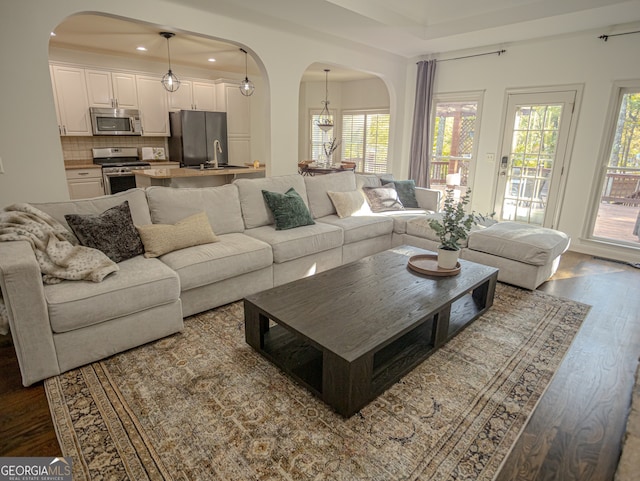 living room with sink and dark hardwood / wood-style floors